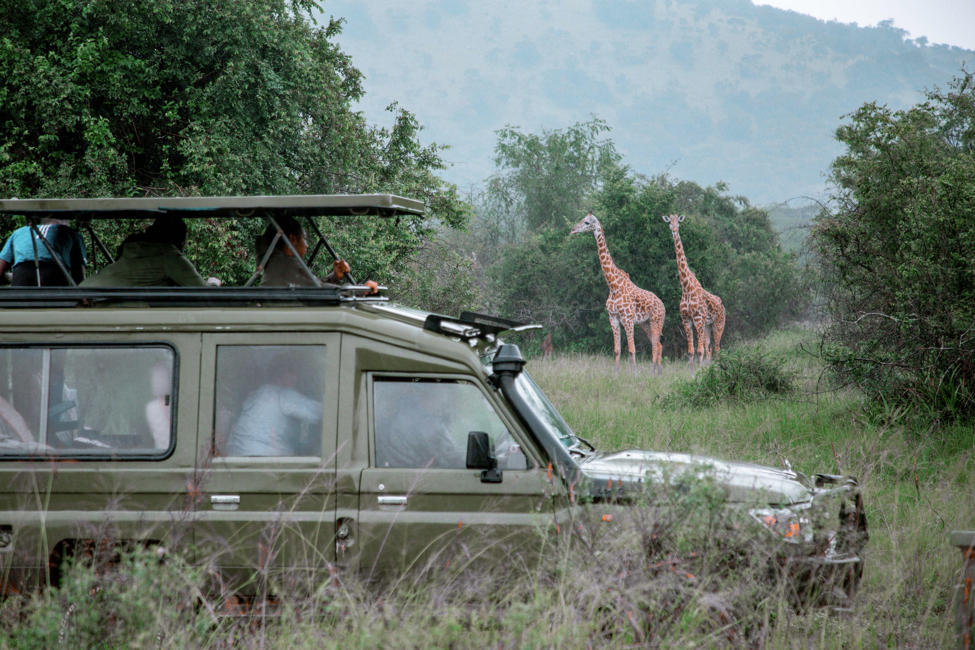 Rwanda safari adventure tour